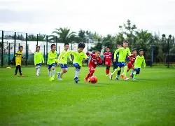 足坛快讯,葡萄牙大胜,英格兰延续,米乐体育平台,米乐体育官方网站,米乐体育登录入口,米乐体育app下载