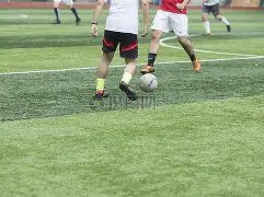 世界杯赛事,在餐厅酒吧,播放,米乐体育平台,米乐体育官方网站,米乐体育登录入口,米乐体育app下载