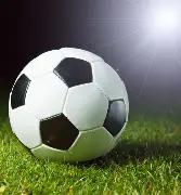 巴黎问鼎,六冠王,阿尔卡拉斯,米乐体育平台,米乐体育官方网站,米乐体育登录入口,米乐体育app下载