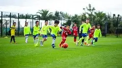 米乐体育 产品 083832 5gz