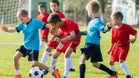 米乐体育 资讯 084441 62k