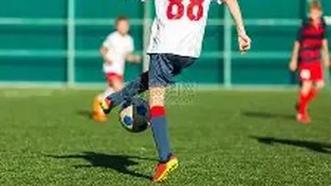 米乐体育 产品 083404 r0m