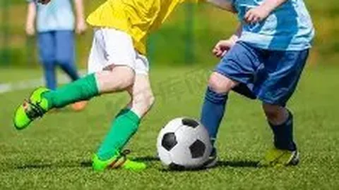 米乐体育 产品 083528 asf